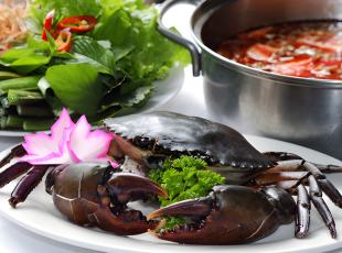 Lẩu Cua